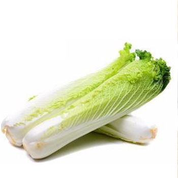 齐心白  1KG