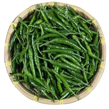 小青椒  1KG