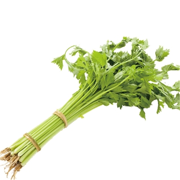 香芹  1KG