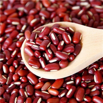 散装赤小豆  1KG